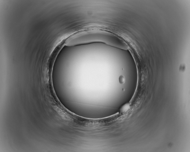 X0000099510973200805291146