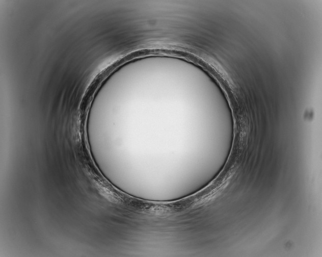 X0000099510974200805291146