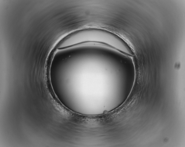 X0000099510976200805291146