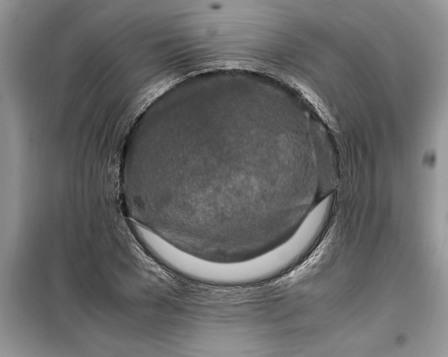 X0000099510977200805291146