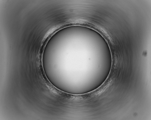 X0000099510978200805291145