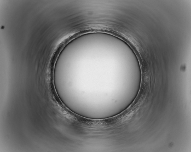 X0000099510979200805291145