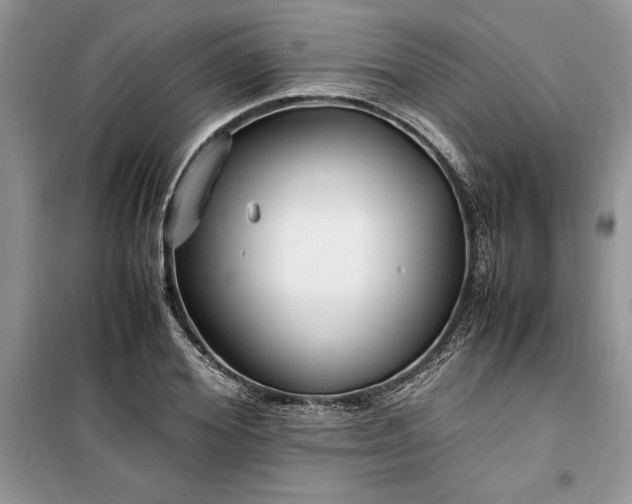 X0000099510980200805291145