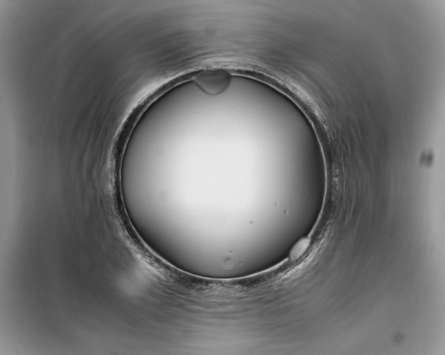 X0000099510981200805291145