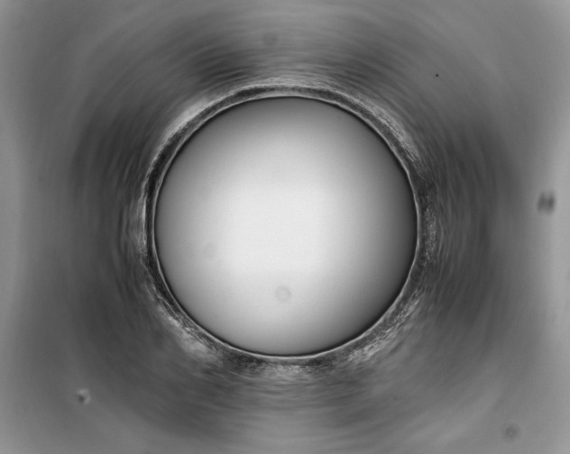 X0000099510982200805291145