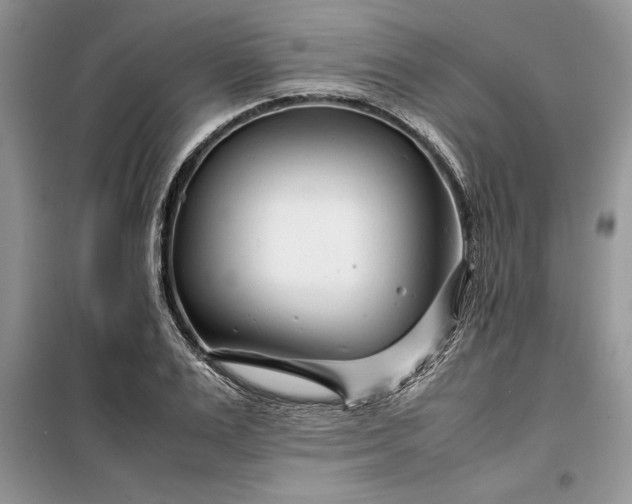 X0000099510983200805291145