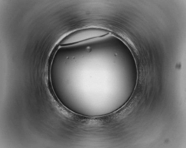 X0000099510984200805291145