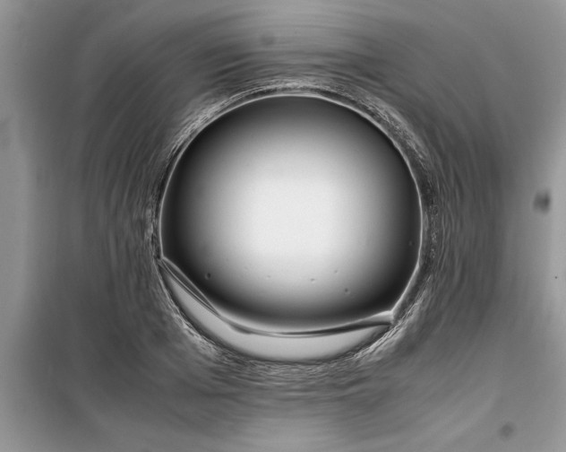 X0000099510985200805291145