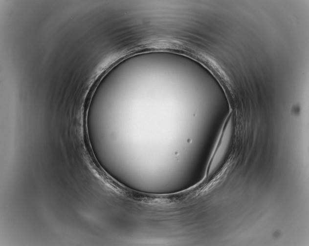 X0000099510986200805291145