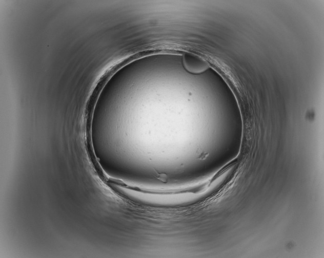 X0000099510987200805291145