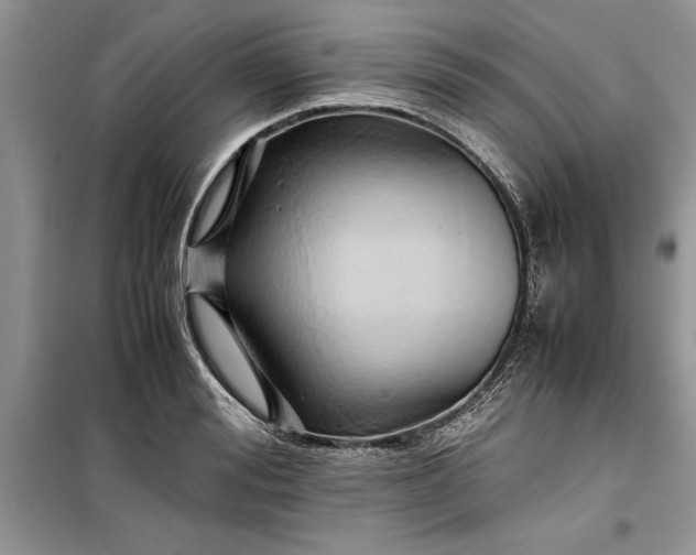 X0000099510988200805291145