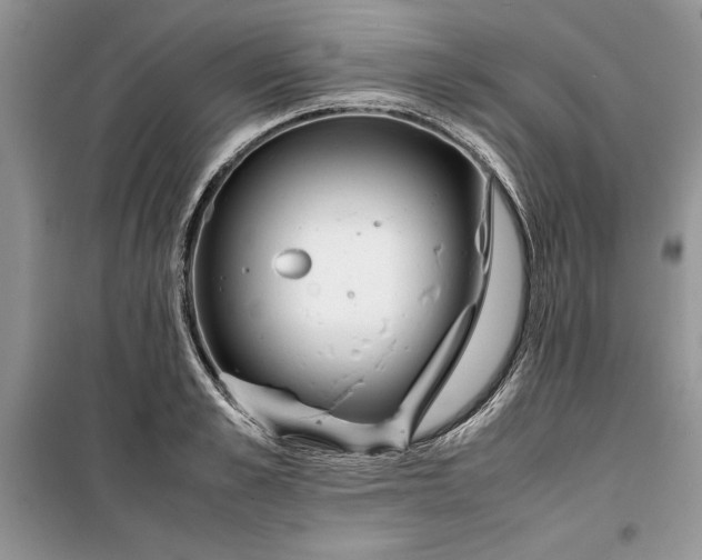 X0000099510989200805291145