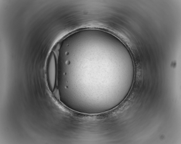 X0000099510990200805291145