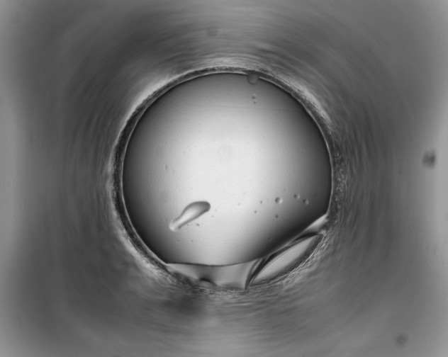 X0000099510991200805291145