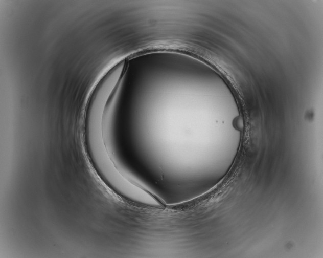 X0000099510992200805291145