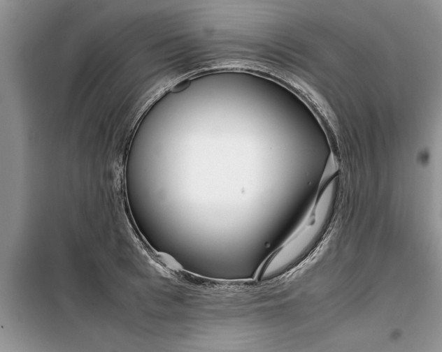 X0000099510993200805291145