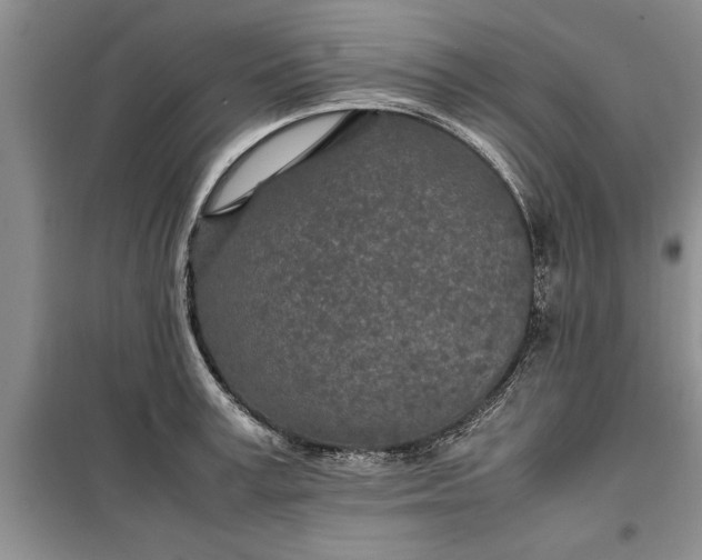 X0000099510995200805291145