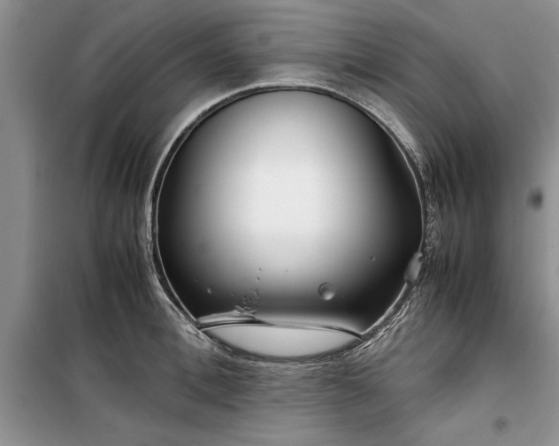 X0000099510996200805291145