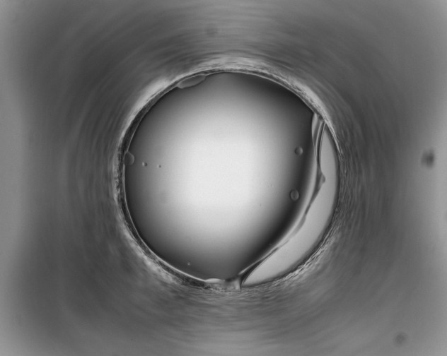 X0000099510997200805291145