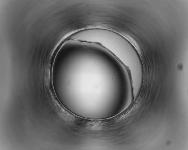 X0000099511000200805291145