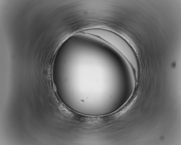 X0000099511001200805291145