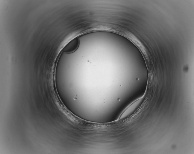 X0000099511002200805291145