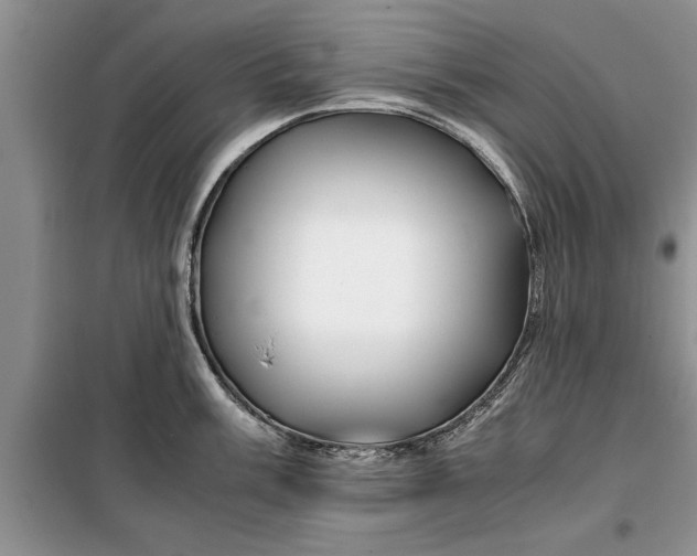 X0000099511003200805291145