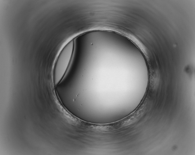 X0000099511004200805291145