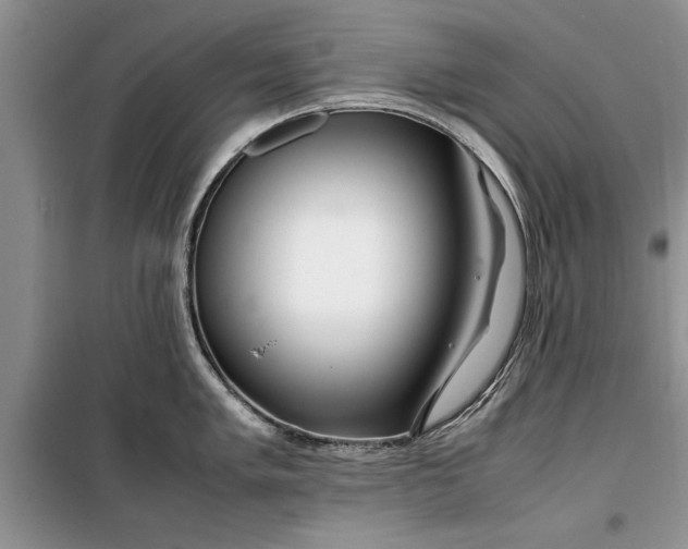 X0000099511005200805291145