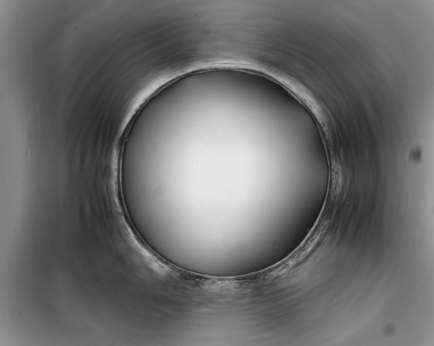 X0000099511006200805291145