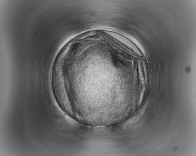 X0000099511007200805291145