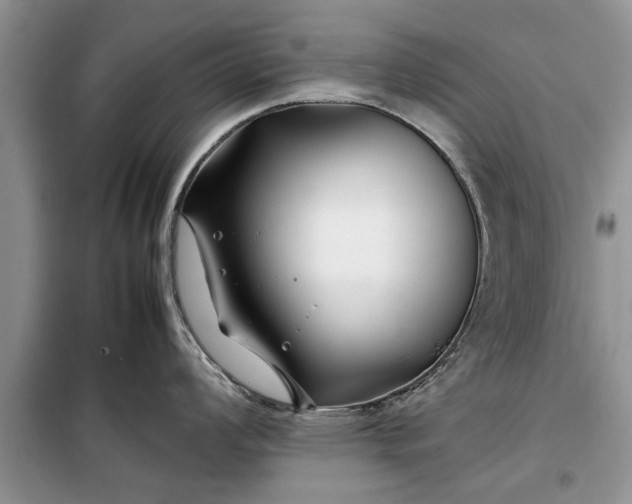 X0000099511008200805291145