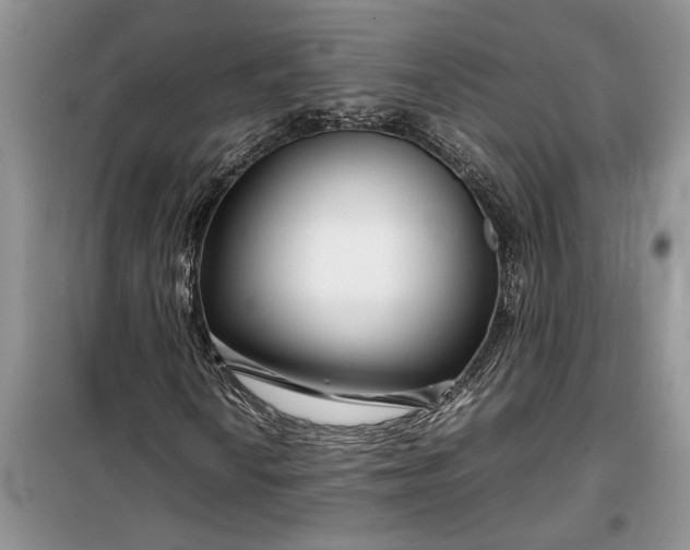 X0000099511010200805291144