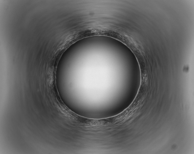 X0000099511012200805291144