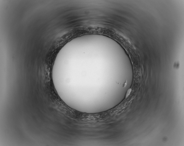 X0000099511013200805291144