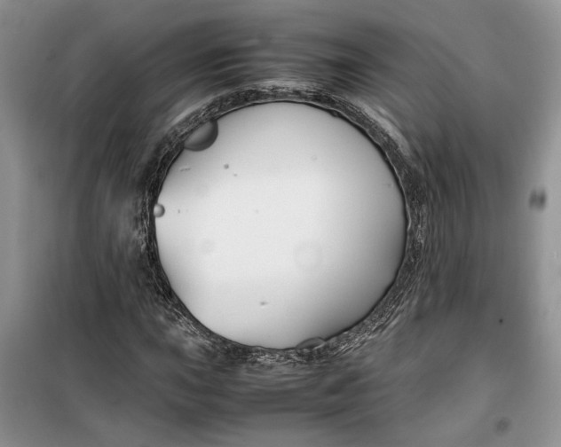 X0000099511015200805291144