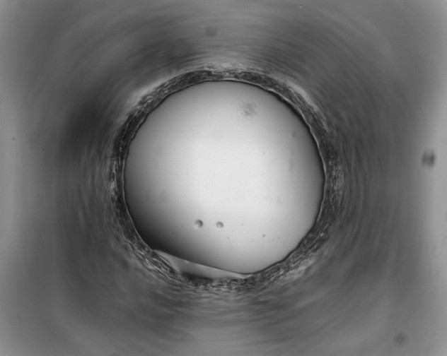 X0000099511016200805291144