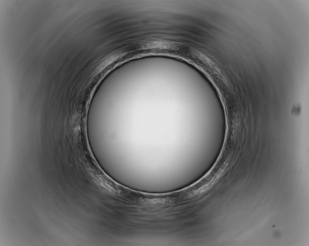 X0000099511017200805291144