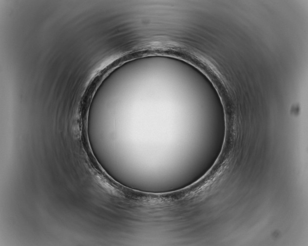 X0000099511018200805291144