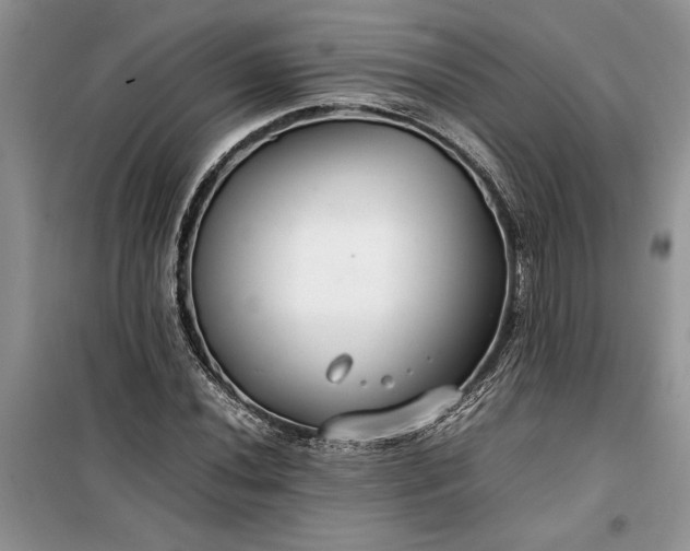 X0000099511020200805291144