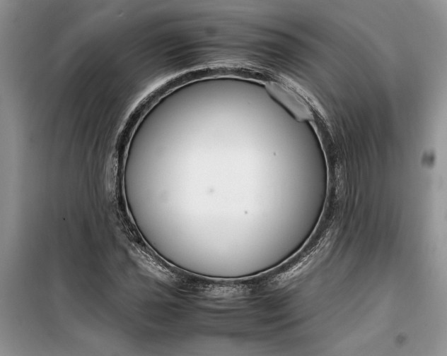 X0000099511021200805291144