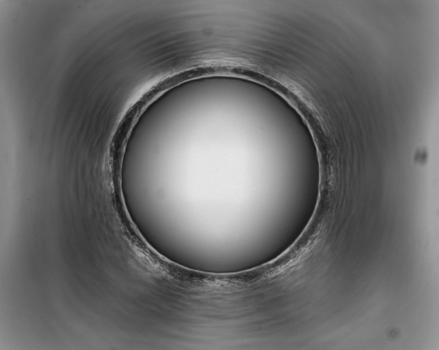 X0000099511022200805291144