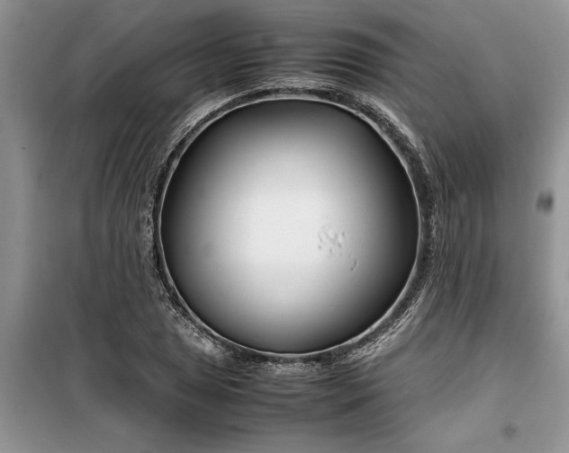 X0000099511025200805291145