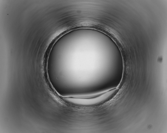 X0000099511026200805291145