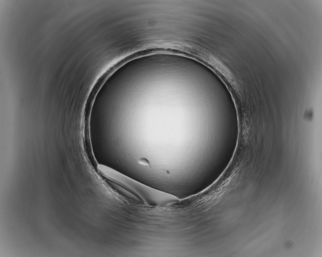 X0000099511028200805291145