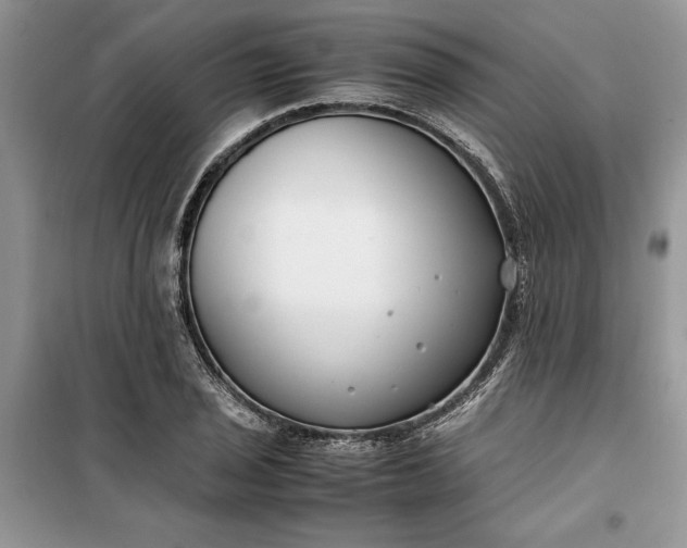 X0000099511029200805291145