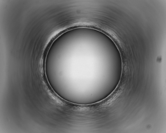 X0000099511030200805291145