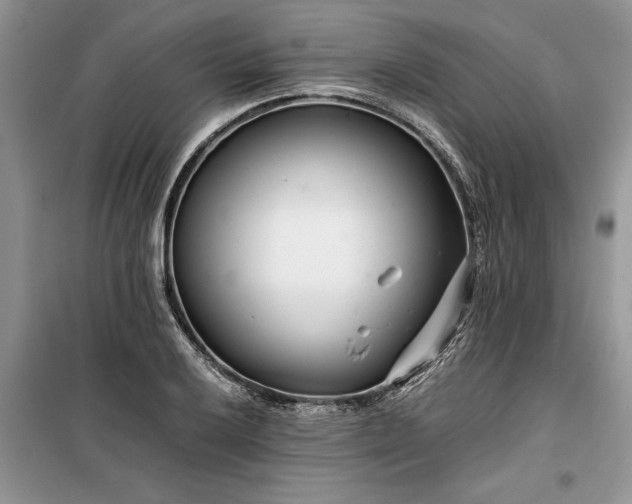 X0000099511032200805291145