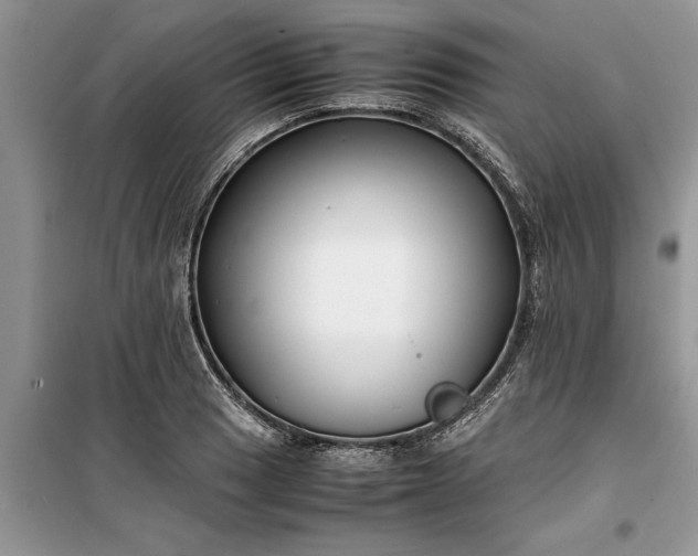 X0000099511033200805291145