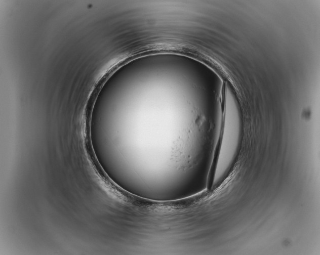 X0000099511034200805291145